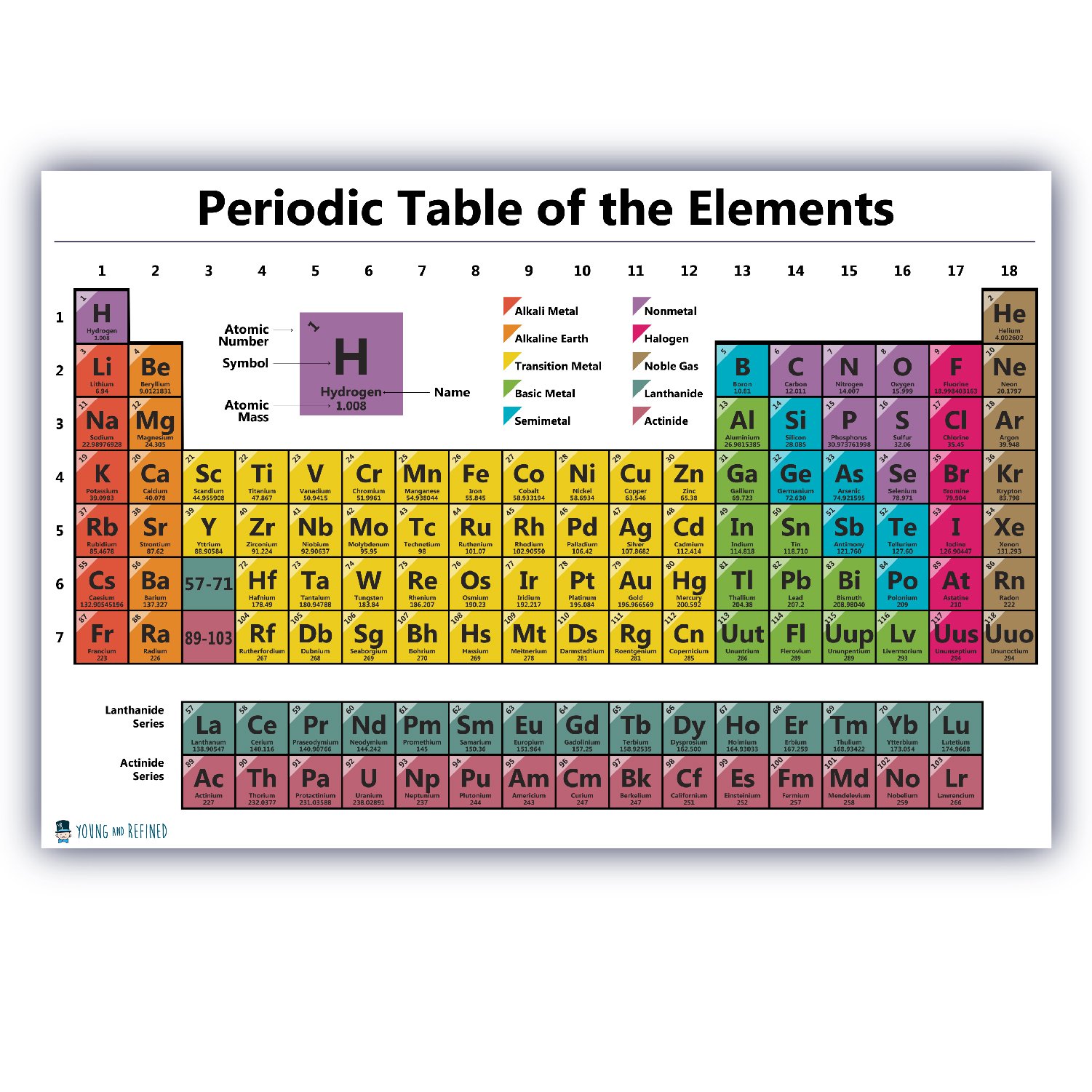 Amazon.com: Young N Refined Periodic table science poster